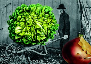 News­let­ter vom 30. Janu­ar 2015