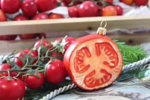 News­let­ter vom 5. Dezem­ber 2015