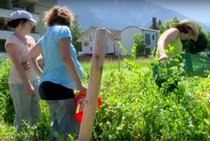 Film über die Gar­ten­ko­ope­ra­ti­ve Som­mer 2015