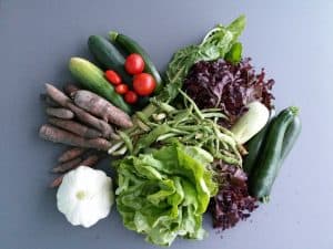 Test im Depot Buchs: Die “Gemü­se­aus­tausch-Kiste”