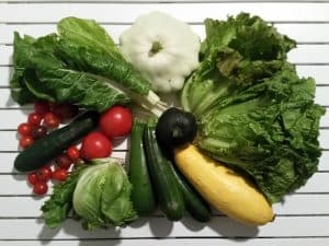 Gemü­se­ta­sche und Bei­pack­zet­tel KW 33