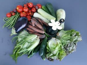 Gemü­se­ta­sche und Bei­pack­zet­tel KW 34