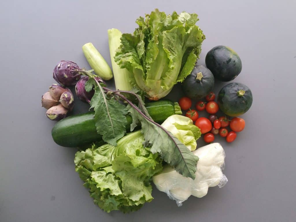 Vega­ne Ernäh­rung — eine Herausforderung