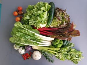 Gemü­se­ta­sche und Bei­pack­zet­tel KW 39