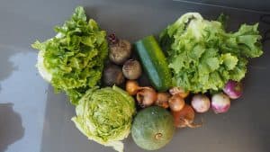 Gemü­se­ta­sche und Bei­pack­zet­tel KW 40
