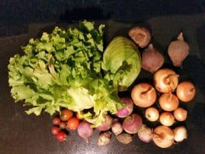 Gemü­se­ta­sche und Bei­pack­zet­tel KW 43