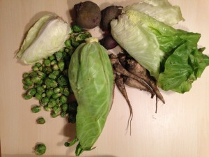 Gemü­se­ta­sche und Bei­pack­zet­tel KW 2