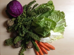 Gemü­se­ta­sche und Bei­pack­zet­tel KW 4