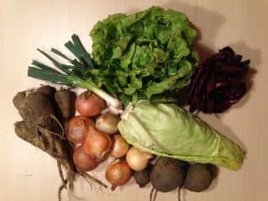 Gemü­se­ta­sche und Bei­pack­zet­tel KW 12