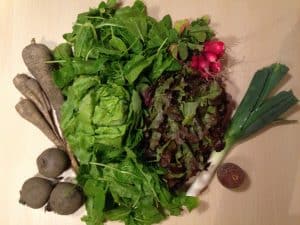 Gemü­se­ta­sche und Bei­pack­zet­tel KW 21