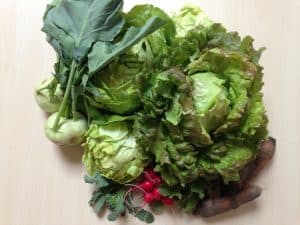 Gemü­se­ta­sche und Bei­pack­zet­tel KW 23