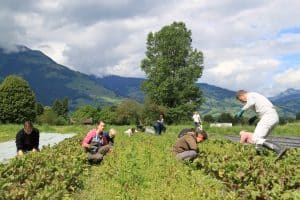 Ein­sät­ze auf dem Feld: Jetzt geben wir Vollgas!