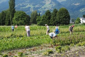 Gesucht: Werk­zeug und wei­te­res Material