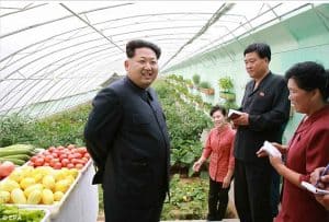 2A1A232F00000578-3144368-The_North_Korean_dictator_grins_as_he_is_shown_a_greenhouse_at_t-a-65_1435661795594