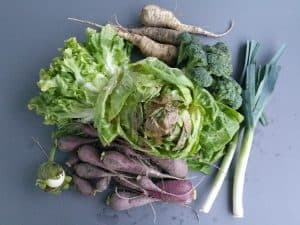 Gemüsetasche und Beipackzettel KW 41