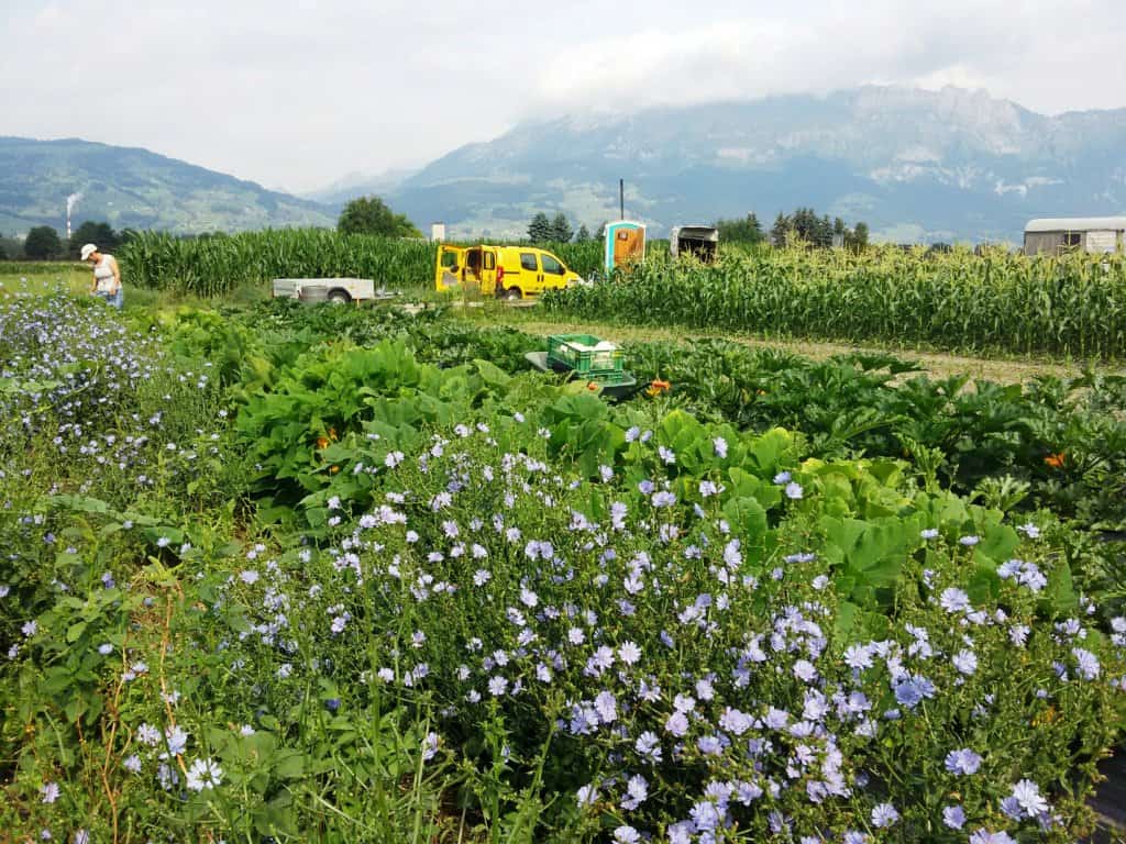 Vie­les machen wir gut!