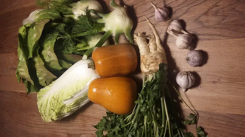 Gemein­sa­mes Ern­ten Wintergemüse