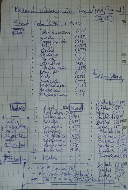 Prall­vol­ler Kühlcontainer