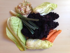 Gemüsetasche und Beipackzettel KW 10