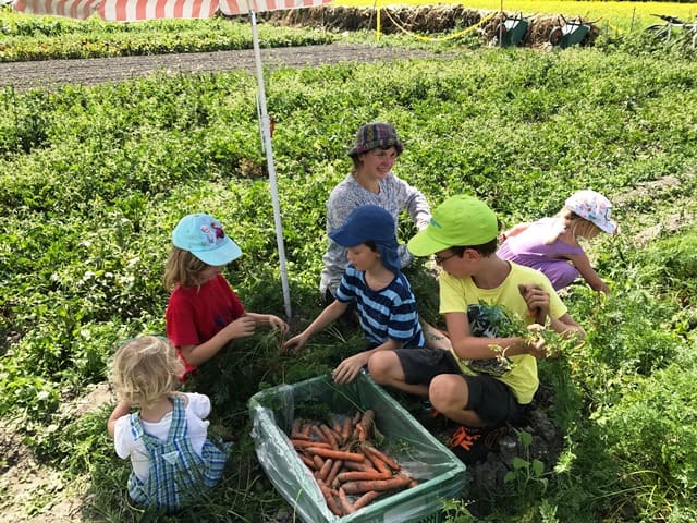 Kinder-Nachmittag auf dem Feld