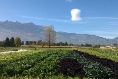 Herbst auf dem Feld, Okto­ber 2015