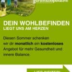 QiGong — Stärkung und Harmonisierung deiner Lebensenergie!