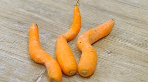 Von “Food waste” und “geret­te­ten Lebensmitteln”